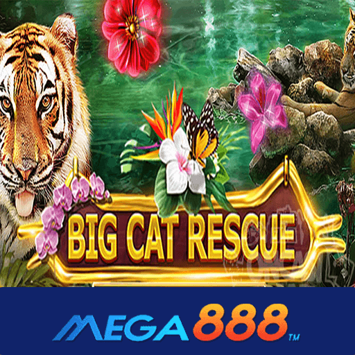 รีวิวเกม Big Cat Rescue Megaways เกมคืนยอดเสีย 5% สูงสุด