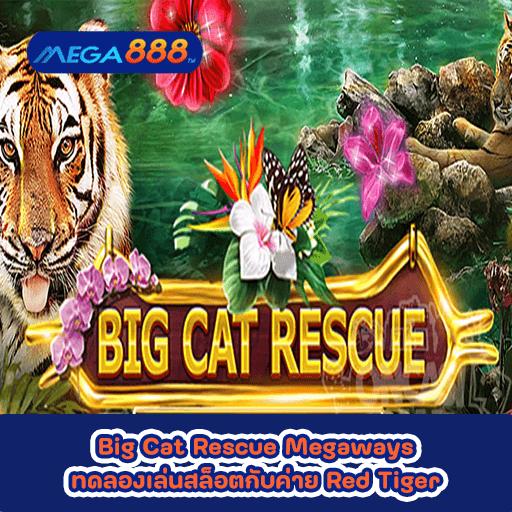Big Cat Rescue Megaways ทดลองเล่นสล็อตกับค่าย Red Tiger