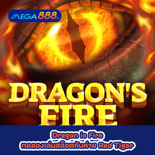 Dragon is Fire ทดลองเล่นสล็อตกับค่าย Red Tiger