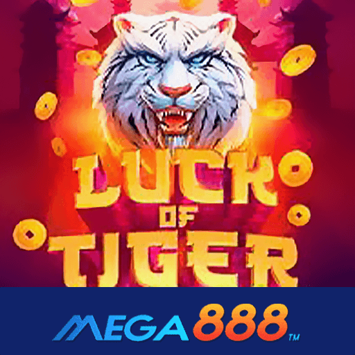 34.Luck of Tiger Bonus Combo