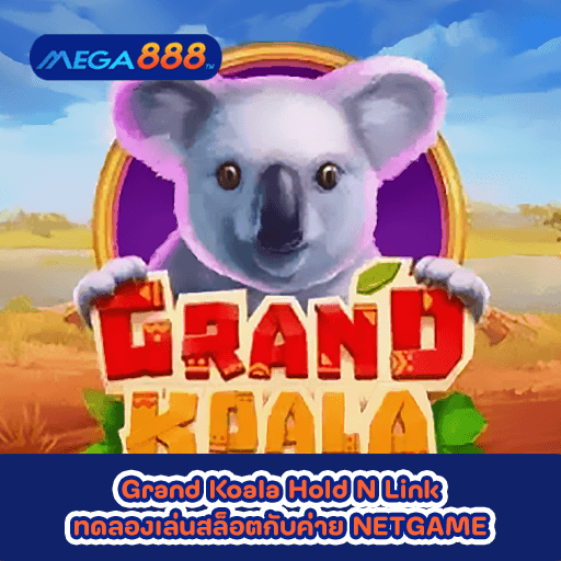 Grand Koala Hold N Link