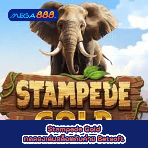 Stampede Gold ทดลองเล่นสล็อตกับค่าย Betsoft